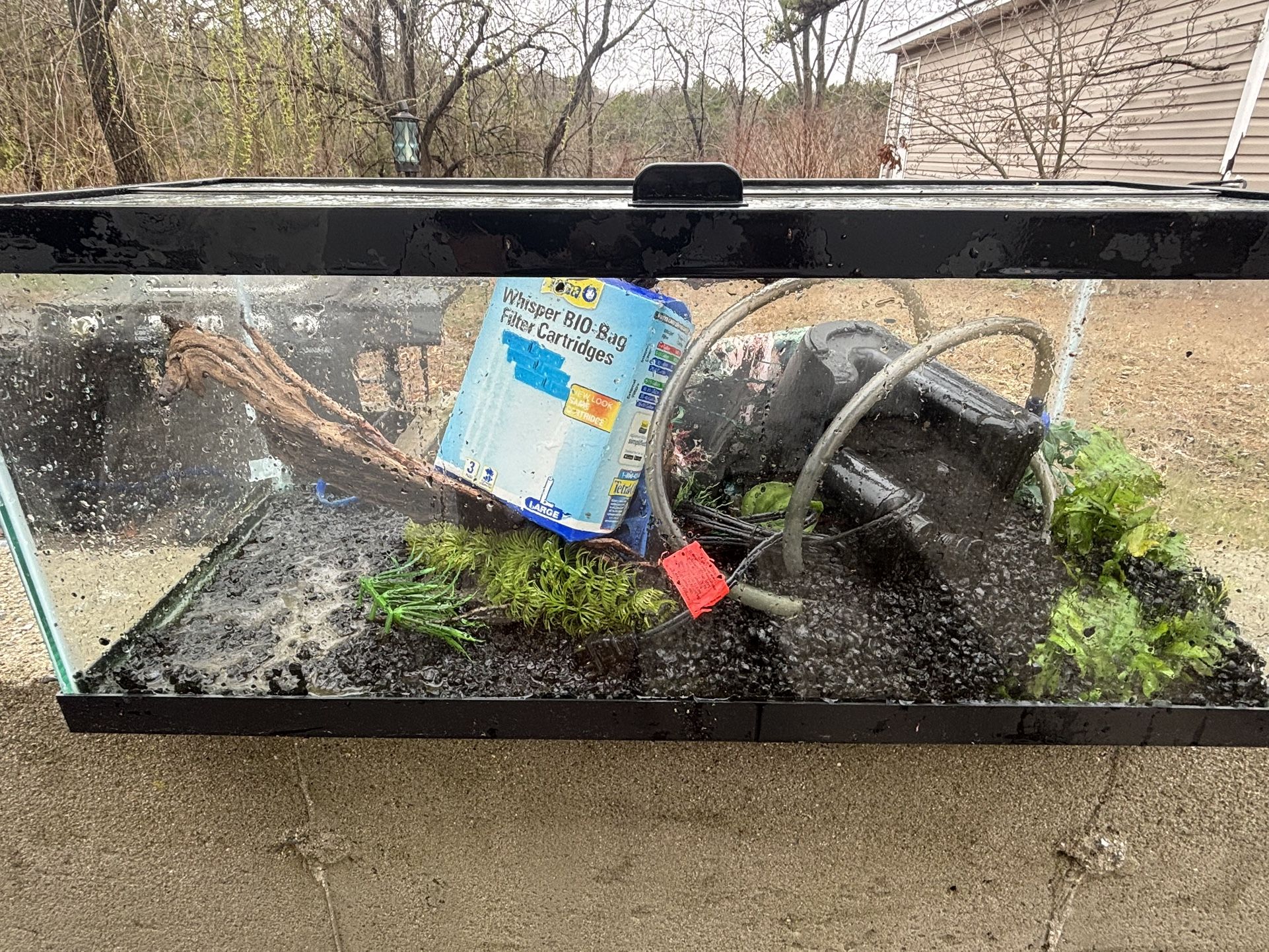 20 Gallon Long Fish tank Everything You Need
