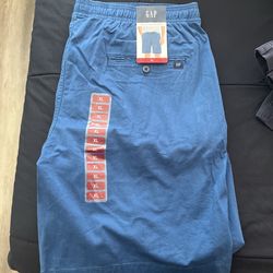 Gap Pull Up Shorts