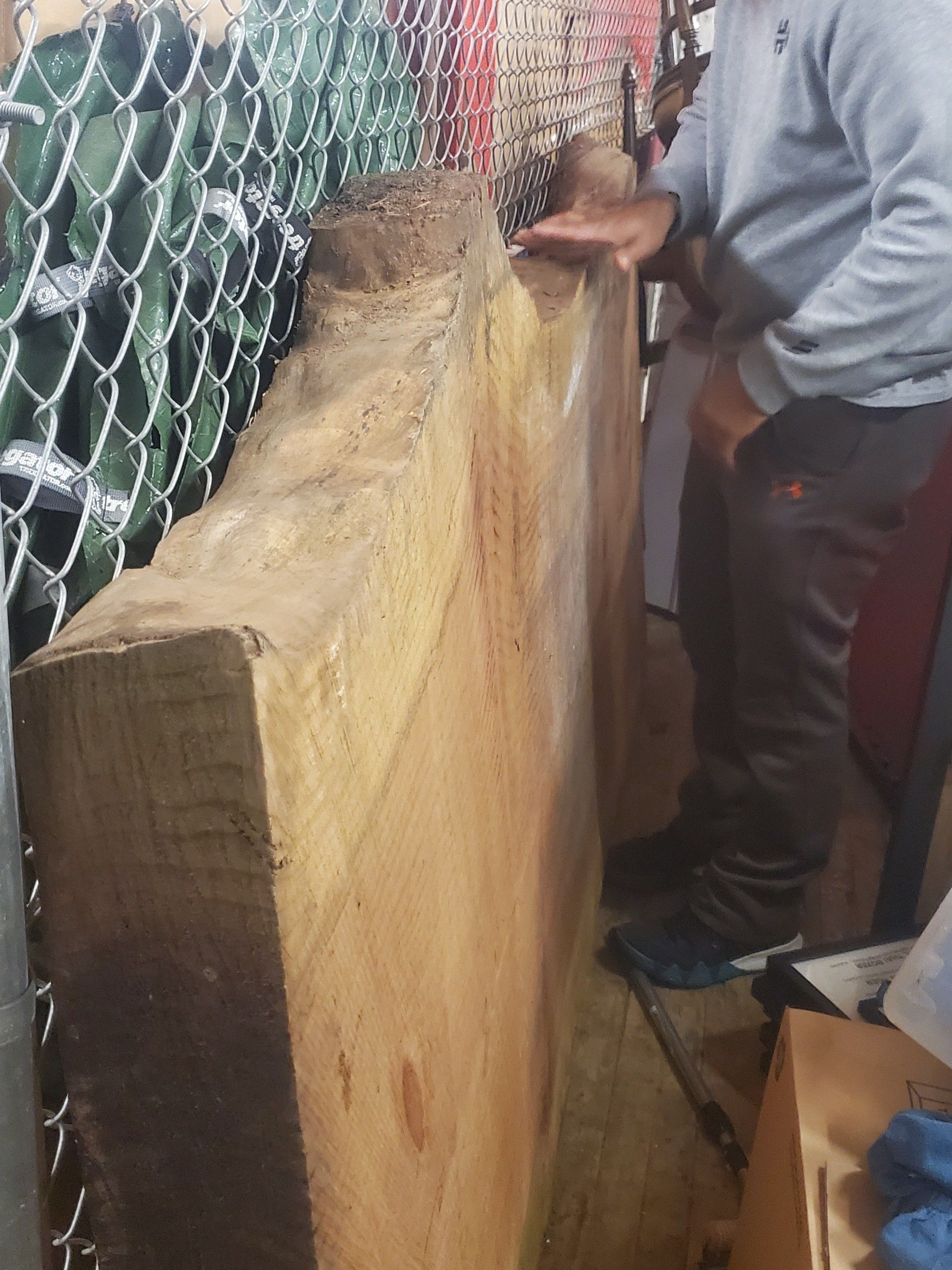 Giant sequoiah slabs