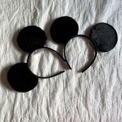 2 Mikey Ears 