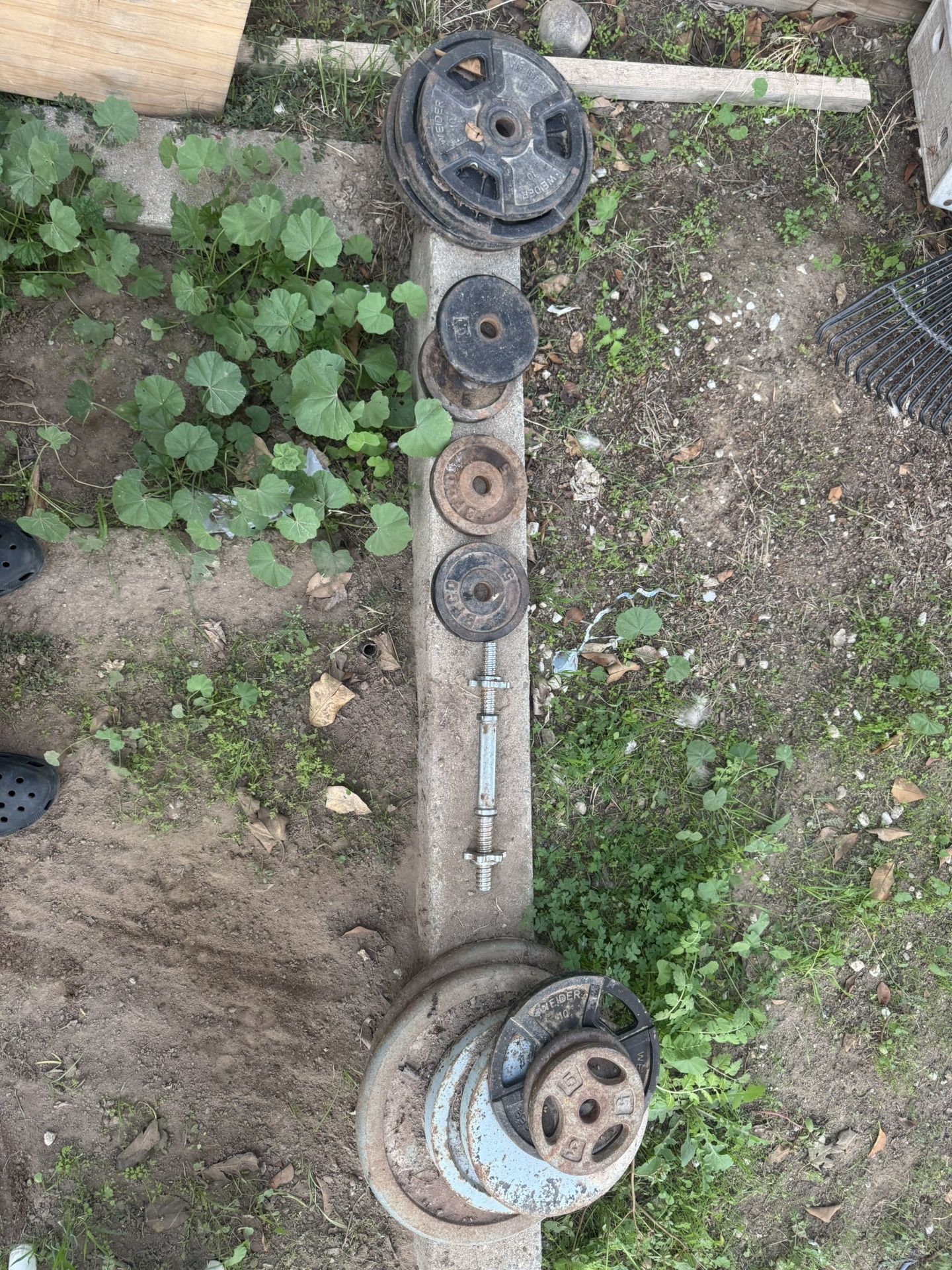 Weights And Squat Rack