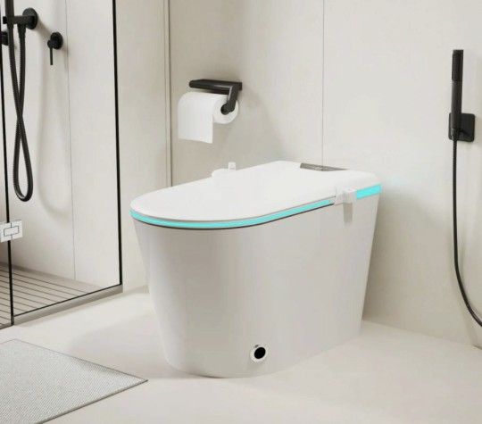 Japanese Smart Toilet With Bidet