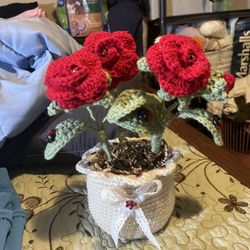 Made to order crochet. Message for price. 