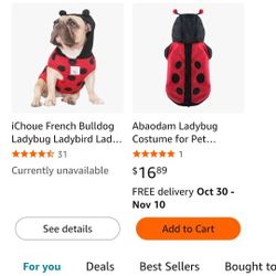 Dog Costume
