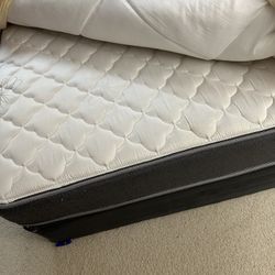 Queen Mattress And Base 