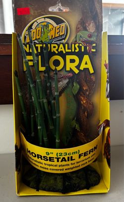 Zoo Med Reptile Terrarium Plant Tank Decor Naturalistic Flora Horsetail Fern 9”