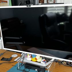 32” External Monitor With power cord