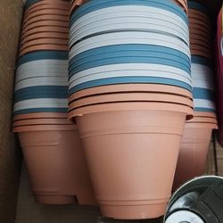 Plants Pots