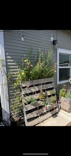 Pallet garden boxes