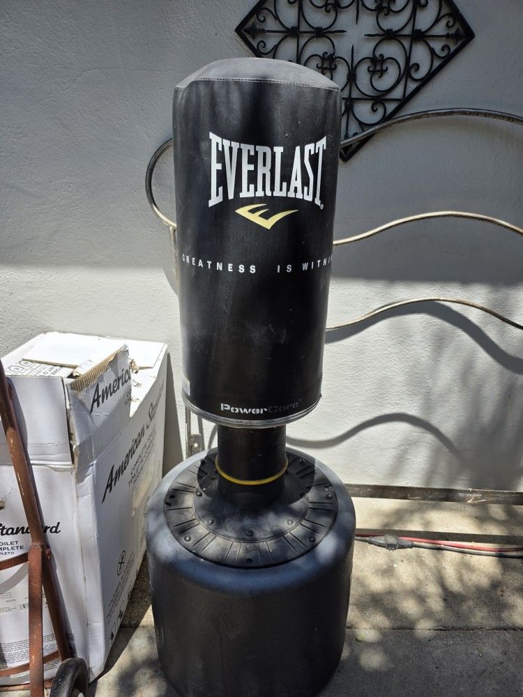 Everlast Punching Bag