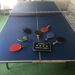 Folding Ping pong Table 