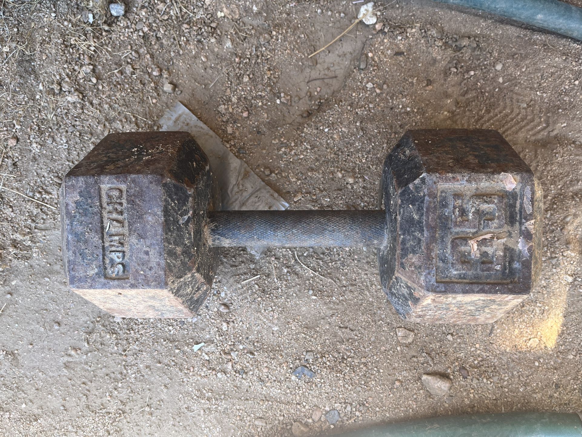 Dumbbell Weights