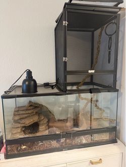 Reptile terrarium