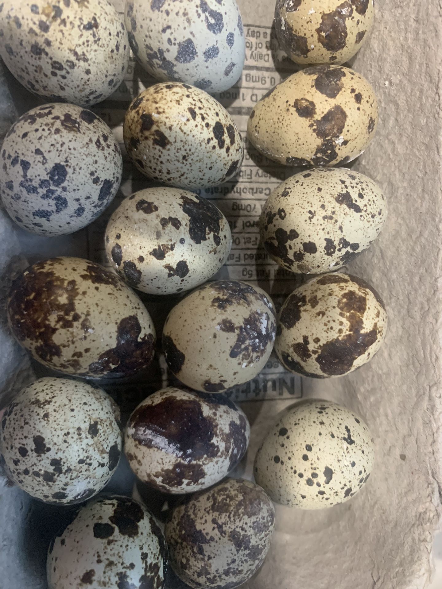 Quail Eggs