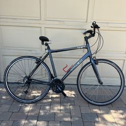 2010 Trek 7.3 FX Hybrid Bike - Large Frame, Gray