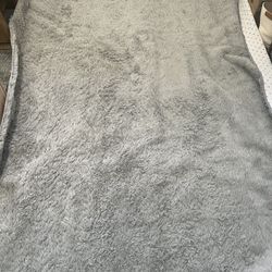 Light Weight Gray Area Rug 
