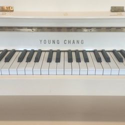 Young chang Piano ivory