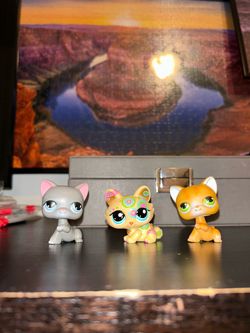 LPS cats