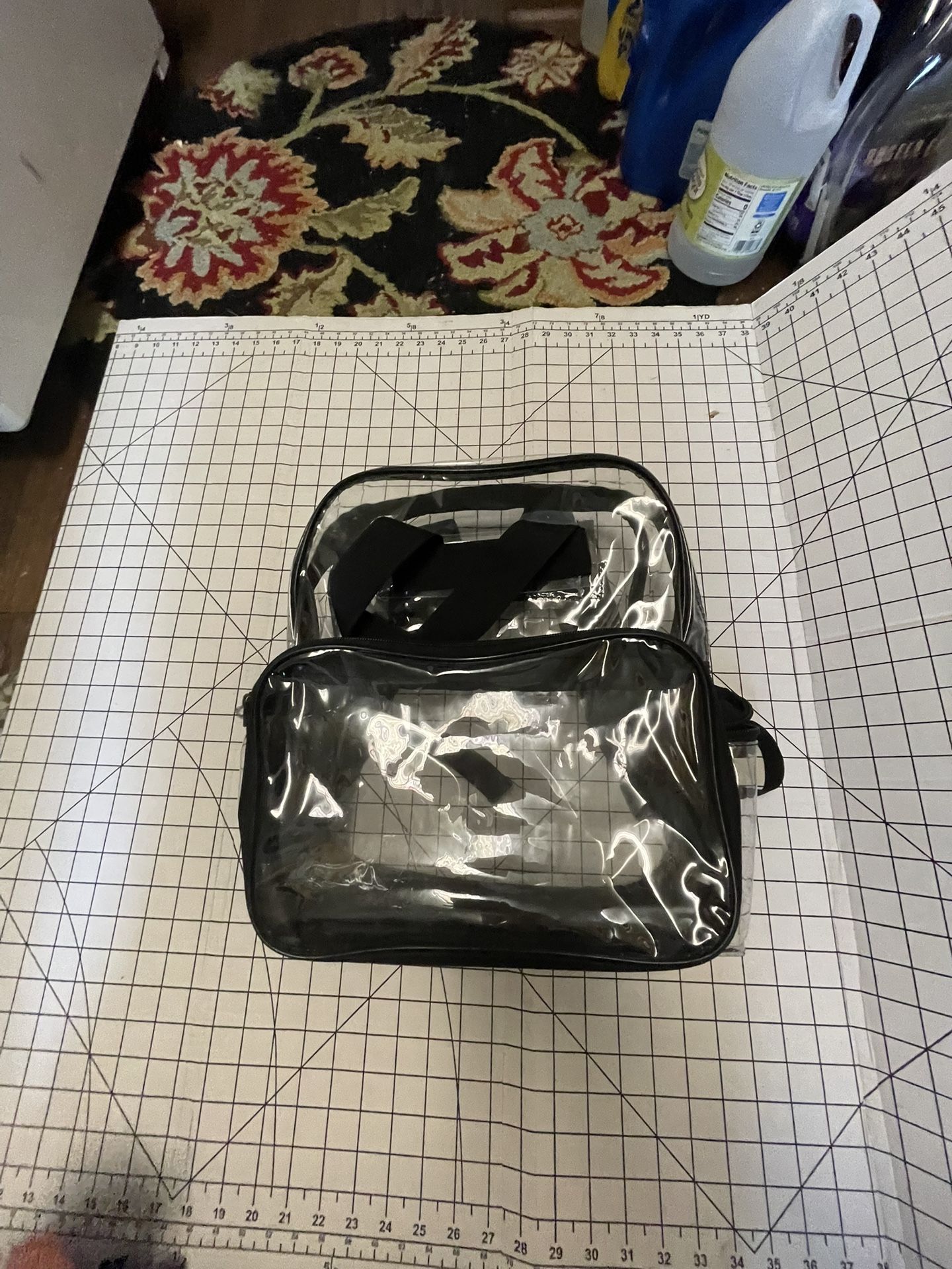 Clear See Thru Backpack