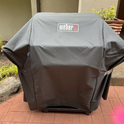 Weber BBQ Propane Grill