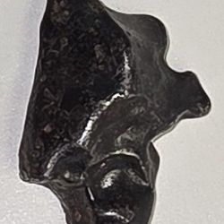 Meteorite for sale.