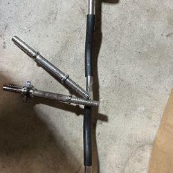 Curl Bar And Weights 