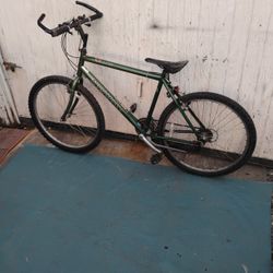 Nishiki Bike Good. Conditions 