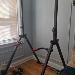 Pull Up Bar