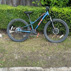 Hard Tail Mountain Bike Not Firm On Price 