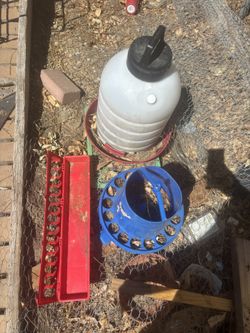 Chicken Feeders