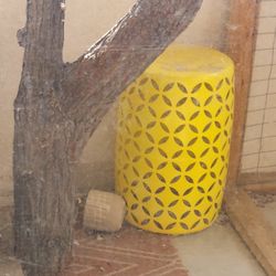 Lots of Cool Stuff For Sale.