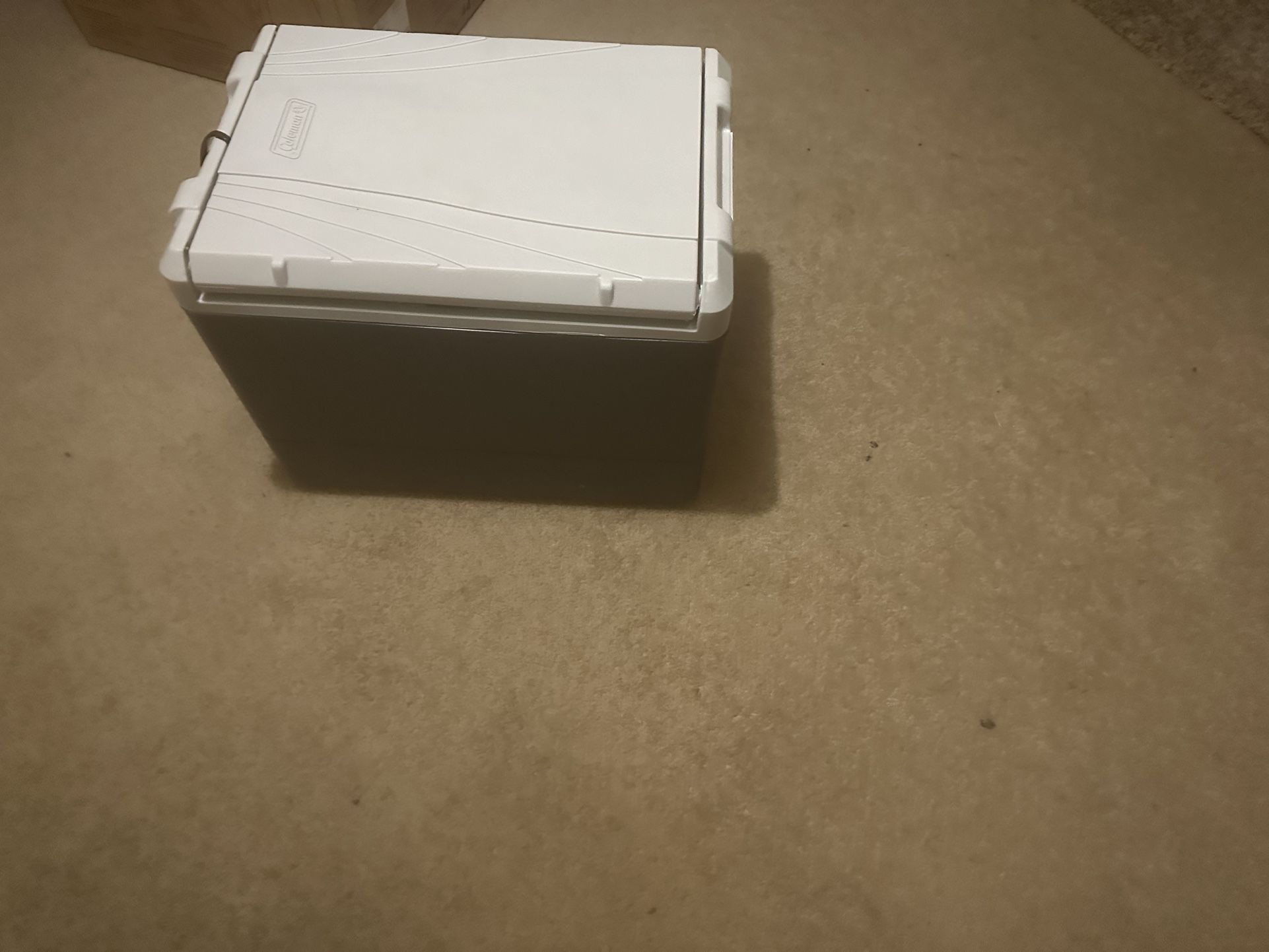 Coleman Cooler Refrigerator