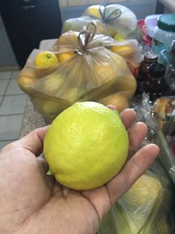 Lemons big fresh lemons