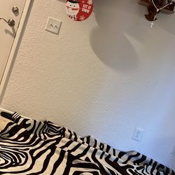 Real Zebra Skin Rug