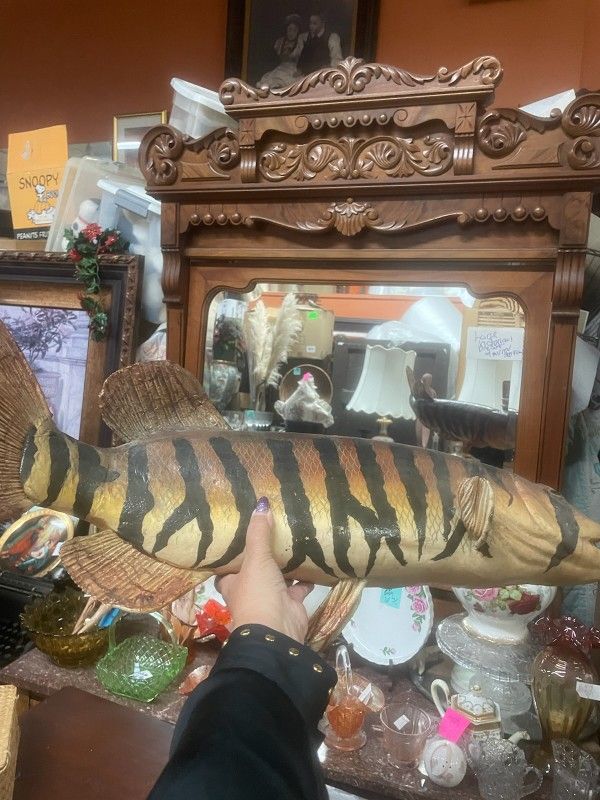 Vintage Large Taxidermy Mount Fish Home Decor