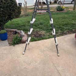 Pool Ladder