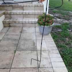 Plants Iron Hanger In Weeki Wachee Spring Hill