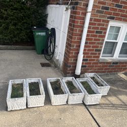 Cement Planters