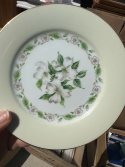 Noritake Set Edgemont Dogwood design
