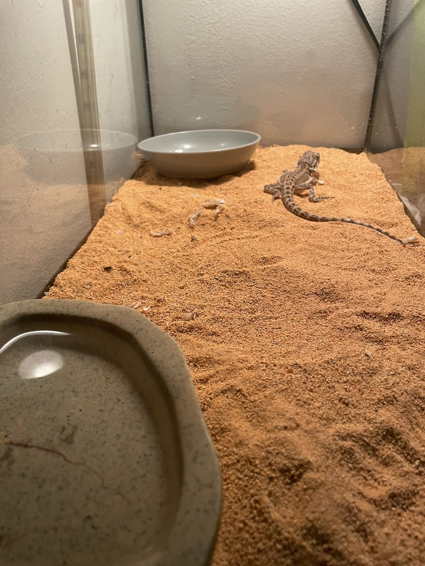 Tank Light And Enclosure Items