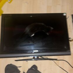 Vizio (cable and hdmi included)