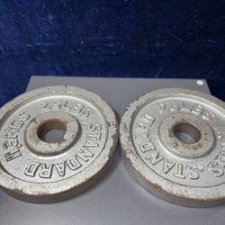 Two 25 Lb Olympic Weight Plates 