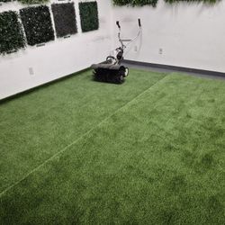 Baby Turf For Sale 