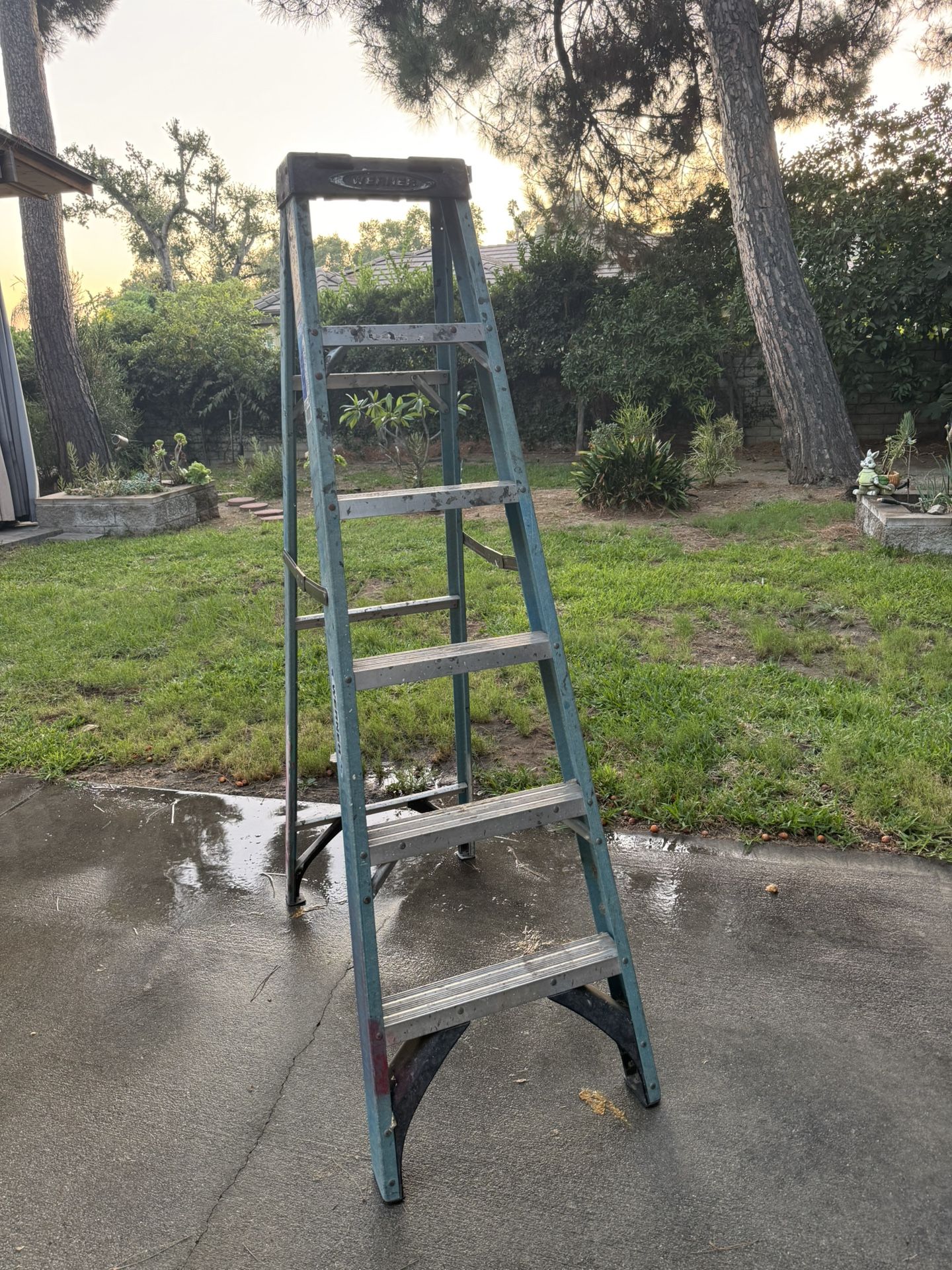 6 Ft Ladder by Werner