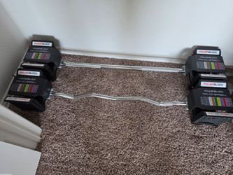 Power Block Pro 100 straight and curl bars