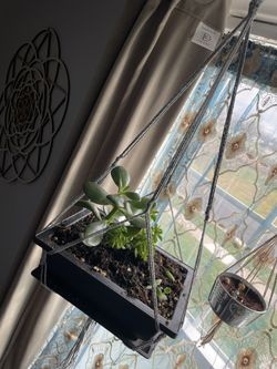 Bonsi  Tree Planter Hanger 