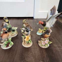 Andrea by Sadek Six Porcelain Bird Figurines collection , great condition, no damage 