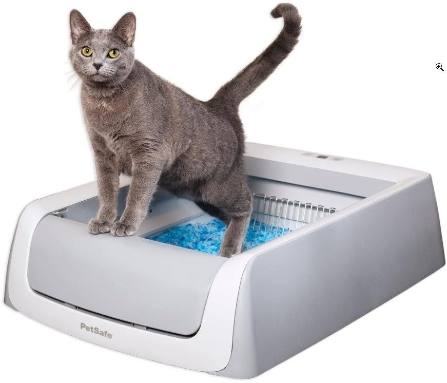 CAT LITTER BOX - AUTOMATIC - $100