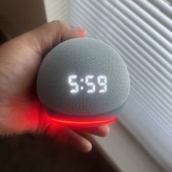 ALEXA - GOOGLE DOT
