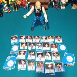 World Wrestling Federation Figure "Triple H" ( Vintage Jakks Pacific 1999 )